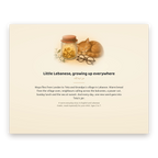 Back cover of the book with the line "Little Lebanese, growing up everywhere"